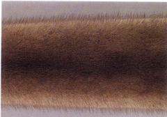 Soklotmink, soklotpastellmink (Socklot mink, Socklot pastel mink) (t<sup>s</sup>t<sup>s</sup>). (Beautiful fur..., 1988)
