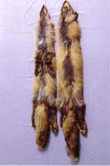 Kuldrebane, suitsjaspunane rebane (Gold fox / Smoky red) (AABb). (Beautiful fur..., 1988)