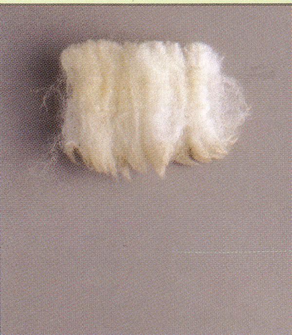 Peenikese villatüübi villasäuk(British Wool)