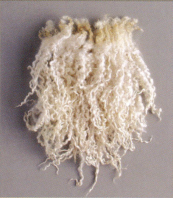Läikiva villatüübi villasäuk (British Wool)