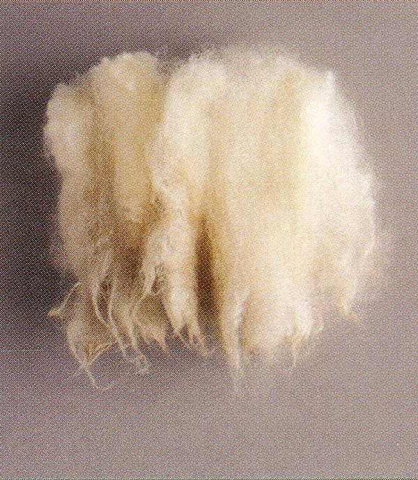 Keskmise villatüübi villasäuk (British Wool)
