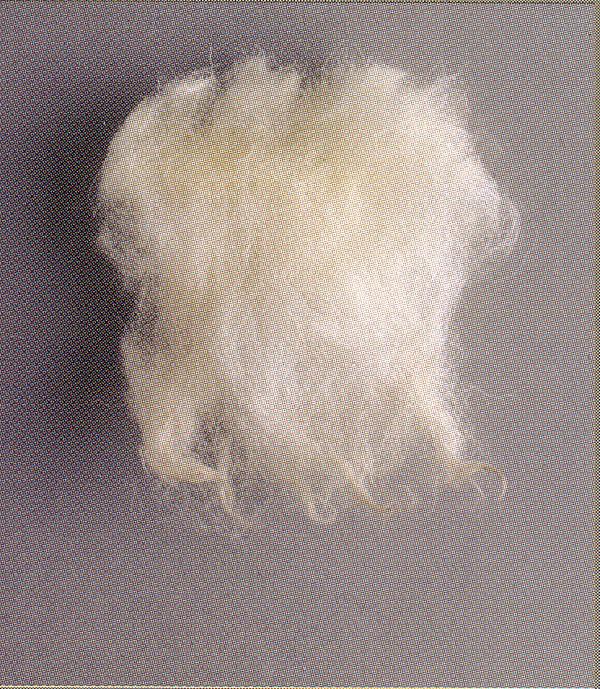 Mäestiku villatüübi villasäuk (British Wool)