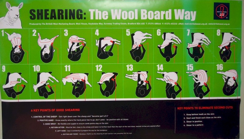 Lamba pügamise skeem (British Wool Marketing Board)