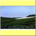 Kr002.jpg