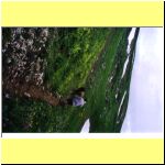 Kr011.jpg